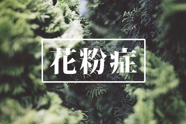 花粉症　アロマレシピ　アロマセラピー　アロマテラピー