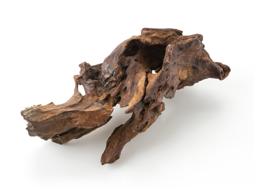 アロマ精油リスト アガーウッド　沈香　伽羅